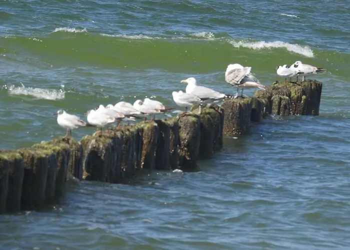 Ledan אתר נופש